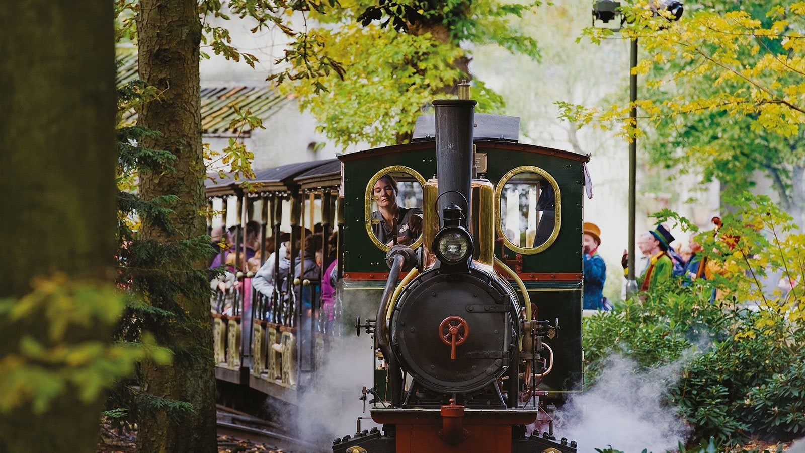 Stoomtrein Ruigrijk